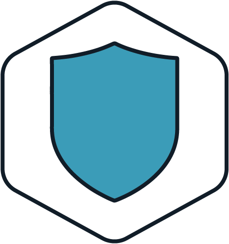 Data Privacy icon